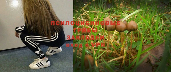 стафф Алексеевка