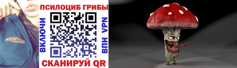 Галлюциногенные грибы прущие грибы  где продают   Цимлянск 